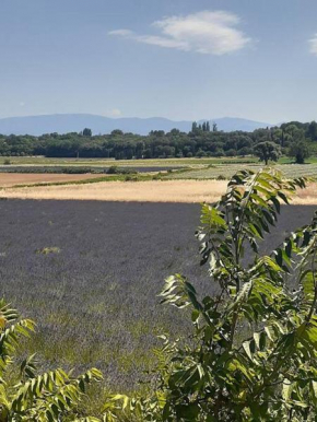 Coeurs en Provence